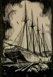 Howard Cook, - ''Sea Bird'' (Duffy 31)-, woodcut, 1920