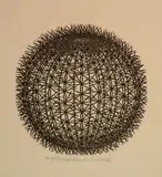 Jacques Hnizdovsky, - ''Echinocactus'' (Tahir 125)-