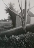 Robert Kipniss, - Shed with Tree in Front-, lithograph