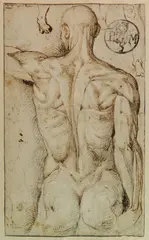 Bartolomeo Passarotti, - "Anatomy Study" (recto) and "Skeletal Study" (verso)- pen and brown, ink, black chalk (recto); pen and brown ink over black chalk, pricked (verso), c