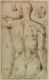 Bartolomeo Passarotti, - "Anatomy Study" (recto) and "Skeletal Study" (verso)- pen and brown, ink, black chalk (recto); pen and brown ink over black chalk, pricked (verso), c