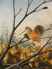 Arthur Cook, - Bird in Tree-, watercolor on paper