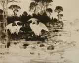 Frank Weston Benson, - ''Water Lillies'' (Paff 163)-
