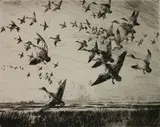 Frank Weston Benson, - ''Morning Flight'' (Paff 152 iii/III)-