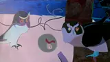 Joseph B. O'Sickey, - ''Two Owls''-