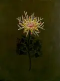 Scott Miller, - Untitled-, oil on canvas