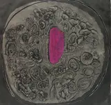 Shiro Ikegawa, - ''Eclipse''-, etching in color
