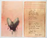 Sidney Goodman, - ''The Fly''- off-set, lithograph in color, 1993, 5 prints of the