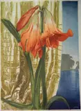 Hugo Noske, - Day Lilies by the Water-, woodcut in colors