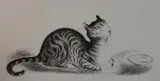 Peggy Bacon, - ''Contentment'' (Flint 127)-