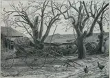 Grace Albee, - ''Forgotten Things'' (Albee 77)- wood, engraving, 1942