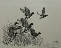 - ''Up & Out'' (Bishop 93)- by Richard E. Bishop, etching and drypoint, 1940, offered Dec 2015