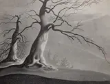 Ellison Hoover, - Two Trees-, lithograph