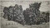 Luigi Lucioni, - ''Birch Group'' (Embury 90)-, etching, 1944