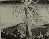 George Jo Mess, - ''Singing Hill''-, aquatint