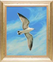 Paul Longenecker, Seagull in Flight, Oil on Canvas