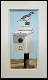 John Austin, Nantucket Bird