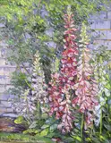 Jan Pawlowski, Digitalis in Bloom