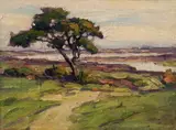 Anne Ramsdell Congdon, Study of Tree
