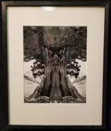 Jerry Uelsmann, untitled