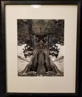 Jerry Uelsmann, untitled