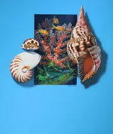Dean Ellis, Marine Life of Palau