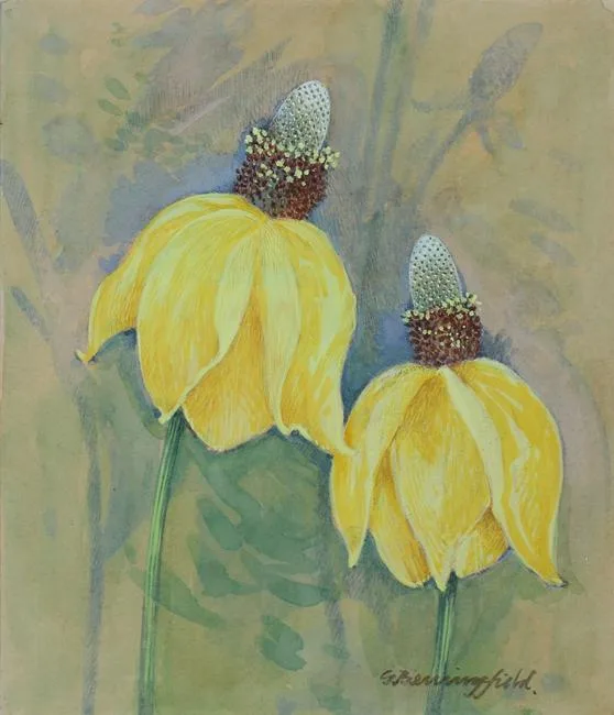 Mexican Hat by Gordon Beningfield, Water Color on Cold Press Illustration Board, sold Jun 2021