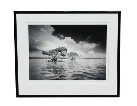 Clyde Butcher, Gaskin Bay #5, photograph