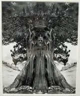 Jerry Uelsmann, untitled