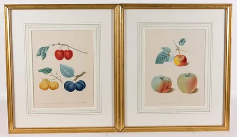 George Brookshaw, Untitled, Prints