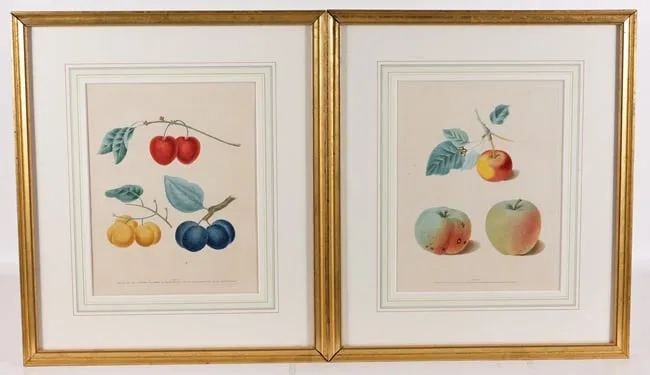 Untitled by George Brookshaw, Prints, offered Jan 2026