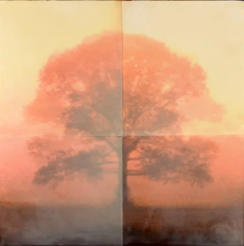 Tom Brydelsky, Burst, 2002, Encaustic
