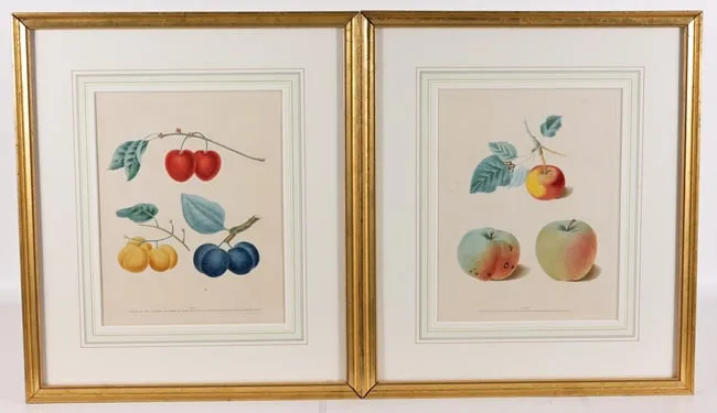 George Brookshaw, Untitled, Prints