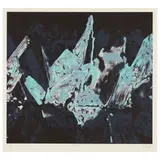 Peter Alexander, Sitka, 1988, Lithograph in colors on wove paper