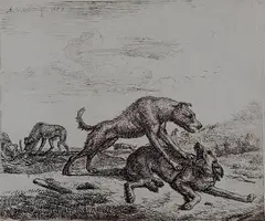 Adriaen van de Velde, - Fighting Dogs-, etching, 1657, from 'Different Animals', trimmed margins