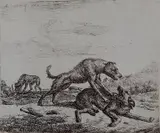 Adriaen van de Velde, - Fighting Dogs-, etching, 1657, from 'Different Animals', trimmed margins