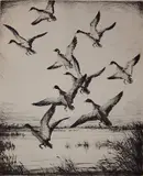Hans Kleiber, - ''Black Ducks'' (AAA/Czestochowski 1964.040)-