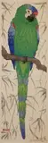Martin Phillips, - ''Green Parrot''-, woodcut in colors, 1926