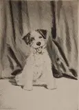 Diana Thorne, - ''Laugh, Clown, Laugh''-, etching