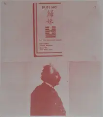 Carl Beam, - Albert Einstein- off-set, lithograph