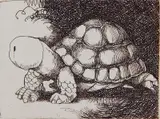 Charles Bragg, - Untitled (Turtle)-, etching