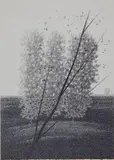 Robert Kipniss, - ''Three Trees''-, lithograph, 1981