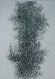 Gabor Peterdi, - ''Wisteria'' (Johnson 179)-