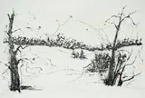 Peter Takal, - ''Trees and Fields''(Ishikawa 41)-, lithograph, 1957