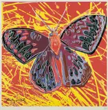 Andy Warhol, Butterfly, chromolithography