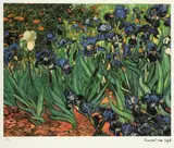 Vincent van Gogh, Irises, chromolithography