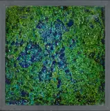 Omar Ronda, Frozen