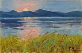 Ferruccio Pagni, Tramonto