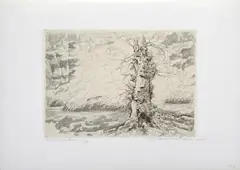 La fine del bosco by Carlo Alberto Petrucci, offered Jul 2013