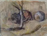 Mario Marcucci, Guscelli e ramo secco